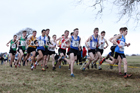 Junior men, 2018 Northern Cross Country Champs., Harewood House, Leeds. Photo: David T. Hewitson/Sports for All Pics